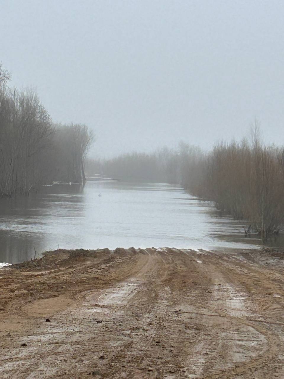 В Котласском округе паводковыми водами подтоплен участок региональной автодороги Кузнецово - Алексино.