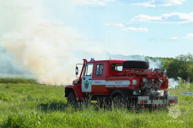 В Архангельской области установлен особый противопожарный режим в лесaх.