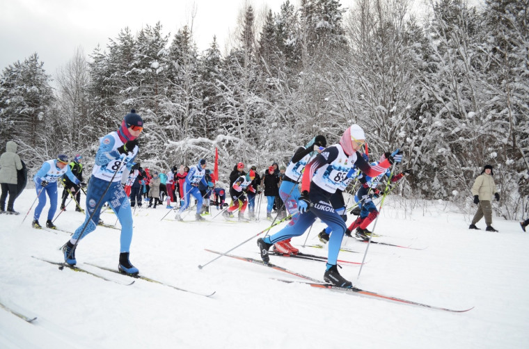 В Шипицыно прошли соревнования по лыжным гонкам, посвященные памяти Вениамина Андреевича Кудрина.